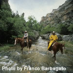 Wyoming Cowboy Ranch Adventure